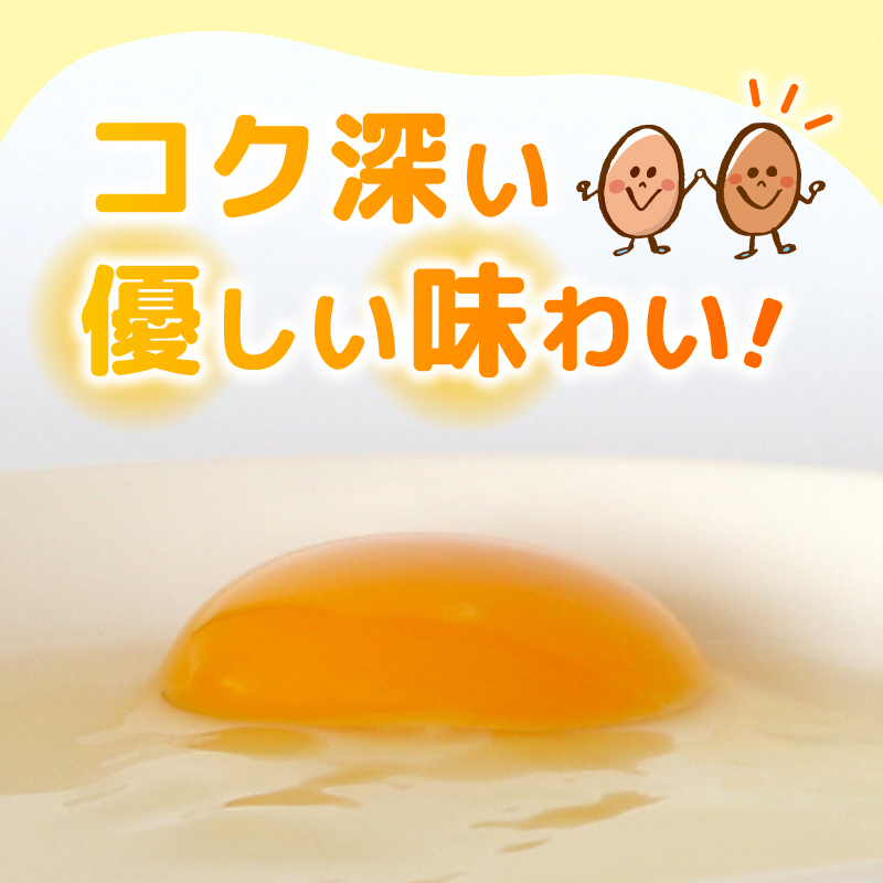 【定期便12回】 平飼い卵 30個入り たまご 卵 タマゴ 鶏卵