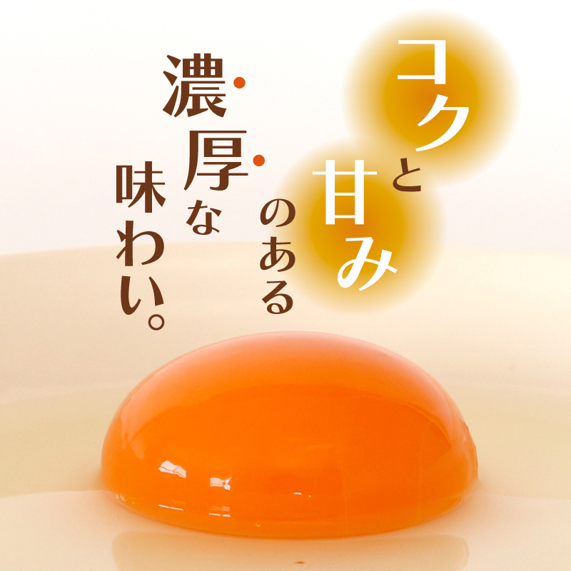 【6回定期便】土佐ジローの卵 20個入り (10個×2パック)【たまご 卵 タマゴ 鶏卵 たまごかけごはん TKG オムレツ ケーキ 卵かけご飯 たまご焼き おいしい おすすめ 高知県 南国市】