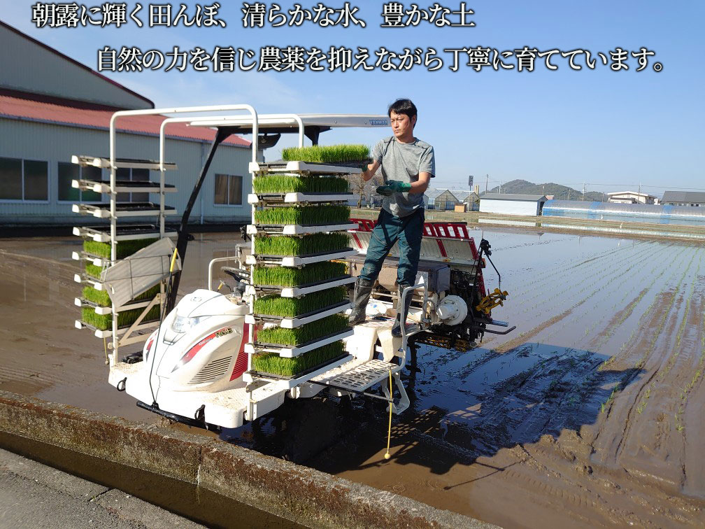 【お米定期便】 【12回】 令和7年度 コシヒカリ 数量限定 各10キロ 米 コメ 減農薬栽培 お米 精米 早場米 新米 ご飯 おにぎり こめ 白米 低化学肥料 高知県 南国市