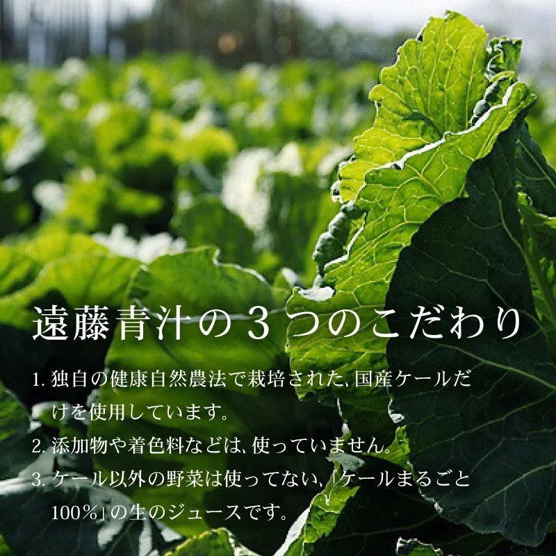 【6ヶ月定期便】 遠藤青汁 【生】 冷凍 4箱