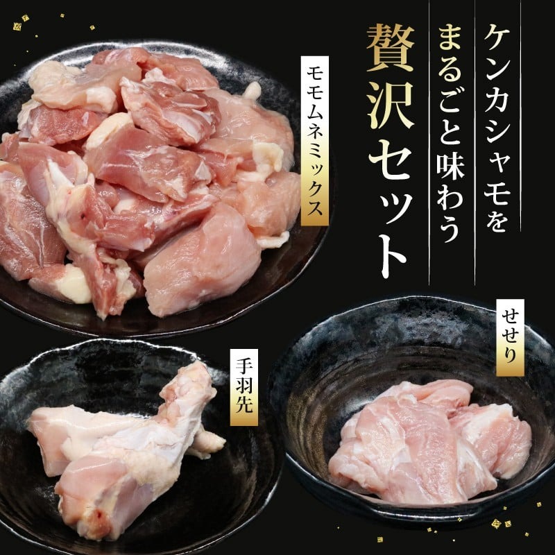 ごめんケンカシャモ焼肉セット 8人前 焼肉 焼肉セット 焼き肉 ギフト 冷凍 しゃも シャモ 軍鶏 国産鶏肉 チキン とりにく 鶏肉 国産鶏 おすすめ 高知県 南国市