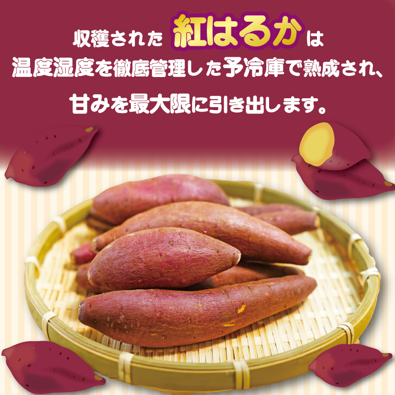 いもスティック 100g×3パック 健康 美容 整腸 いも 芋 おやつ お菓子 食物繊維 サツマイモ 紅はるか 天ぷら 冷凍 高知県 南国市