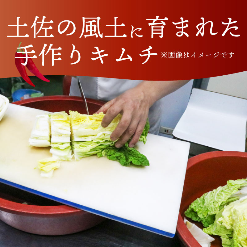 【土佐キムチ キャベツ】 キャベツキムチ 300g×3パック 無添加 自然派 パリパリ キムチ 漬物 発酵 白菜 キムチ 手作り てづくり 韓国 高知県 南国市