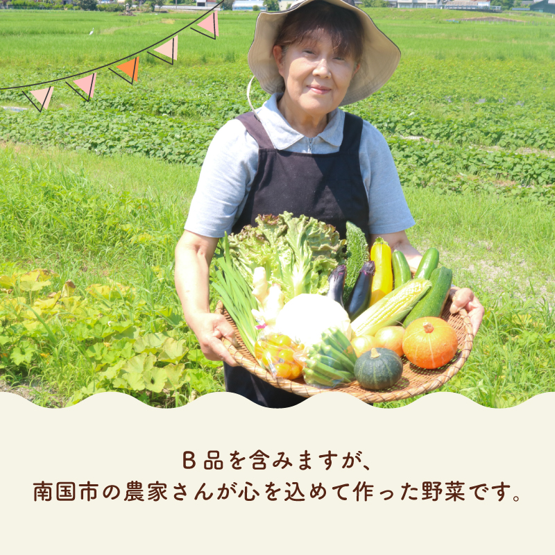 【産地直送新鮮野菜】 高知県産 南国土佐の季節の野菜詰め合せセット【野菜セット】