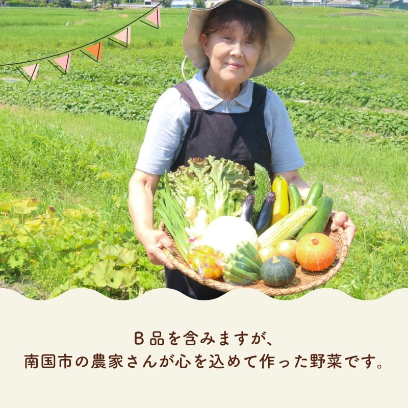 【毎月お届け 全3回コース】南国土佐の季節野菜と卵（ゆずたま）の詰め合わせセット