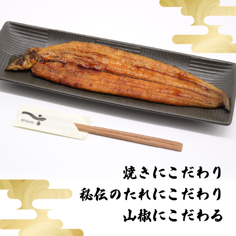  【12回定期便】 うなぎ蒲焼 約170g×2尾 高知県産 最高品質 合計約340g たれ 山椒 国産 鰻 かば焼 土佐焼 うな丼 うな重 高知県 南国市