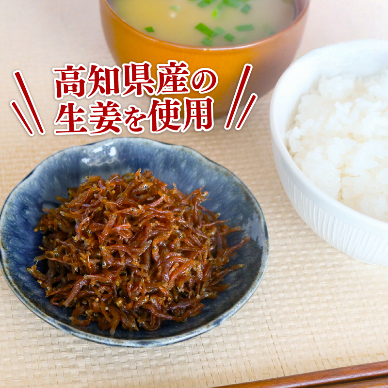 【定期便6回】土佐しらす佃煮 300g 小分け 冷凍配送 国産 おかず 惣菜 ご飯のお供 お米 に合う 加工品 海鮮 ちりめんじゃこ おつまみ 高知県 南国市