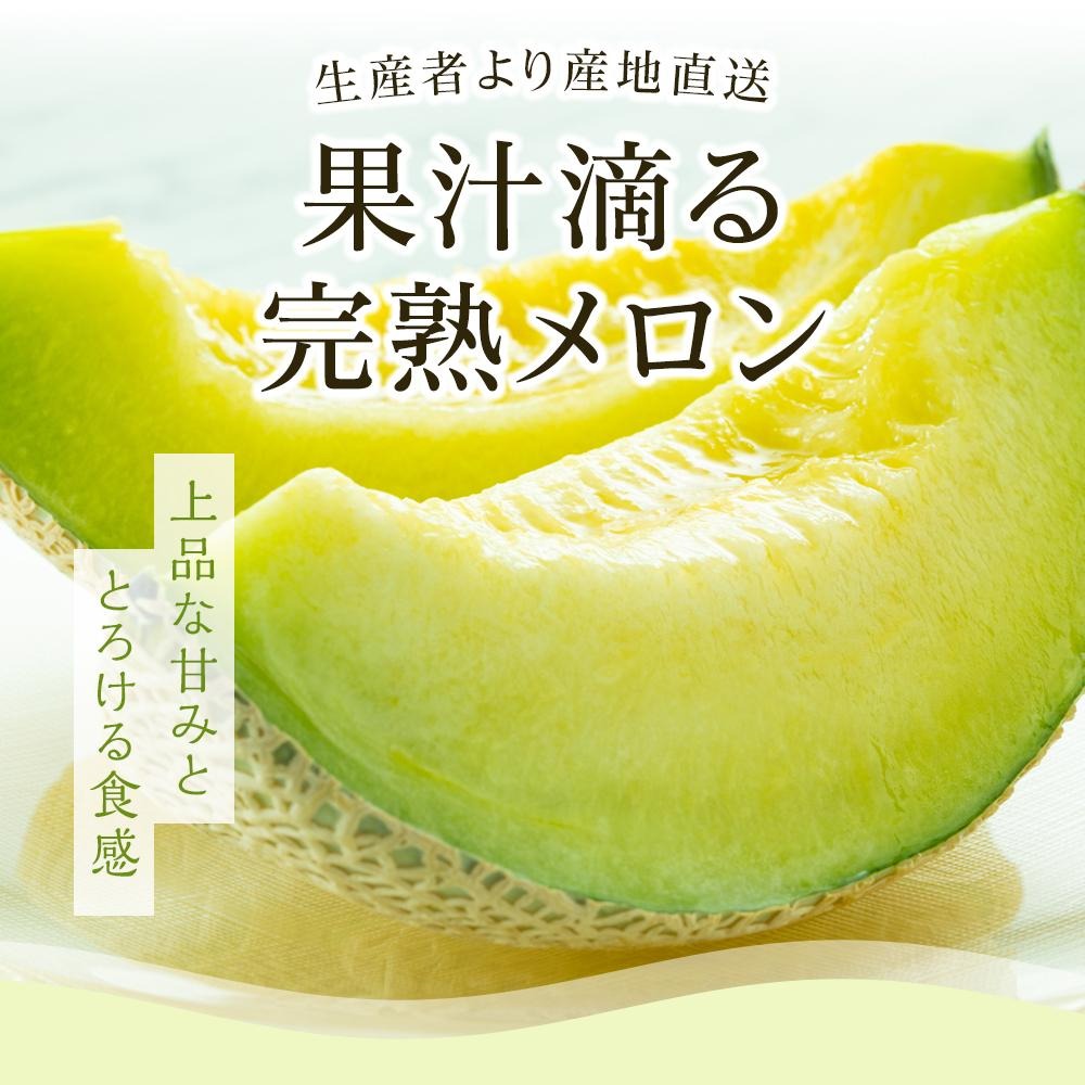 家庭用 メロン 4玉 | マスクメロン 4個 フルーツ 果物 厳選 高級 青肉メロン 人気 デザート ギフト プレゼント 贈り物 くだもの 旬 お取り寄せ 訳アリメロン 甘い 青肉 メロン 高糖度メロン 訳あり 産地直送メロン 訳ありメロン 万円 高知県 南国市