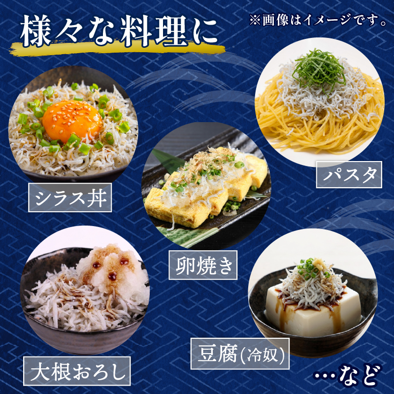 贈答用 釜揚げしらす 1kg | 250g×4パック 小分け ギフト 冷凍 贈り物 お取り寄せ 国産 シラス丼 惣菜 簡単調理 ご飯のお供 加工品 海の幸 グルメ 食品 魚介 小魚 海鮮 ちりめんじゃこ おつまみ ふりかけ 人気 高知県 南国市