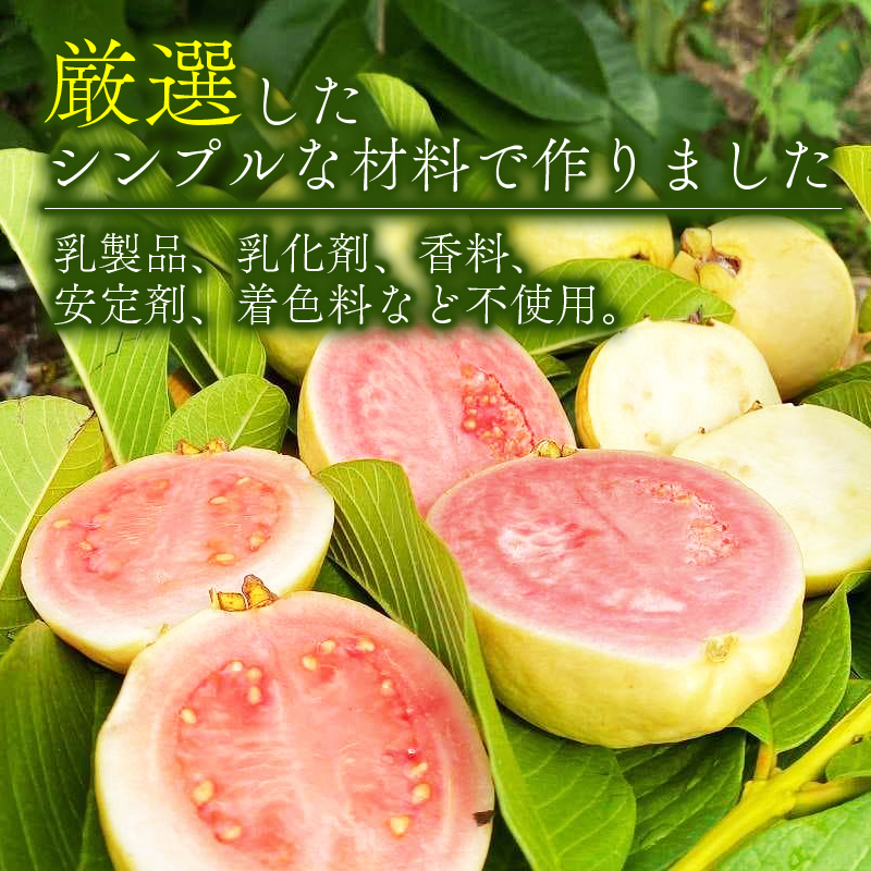 有機グアバ農園のなめらかジェラート 計18個