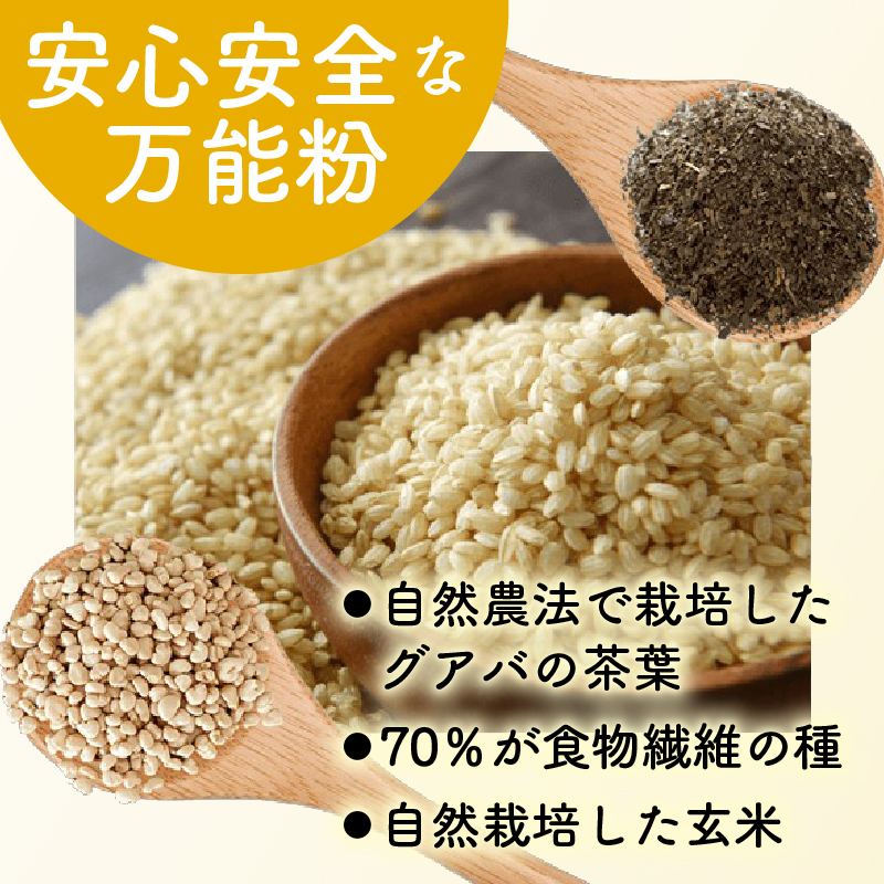 有機グアバ農園のもっちもち玄米パンケーキのもと 500g×2袋