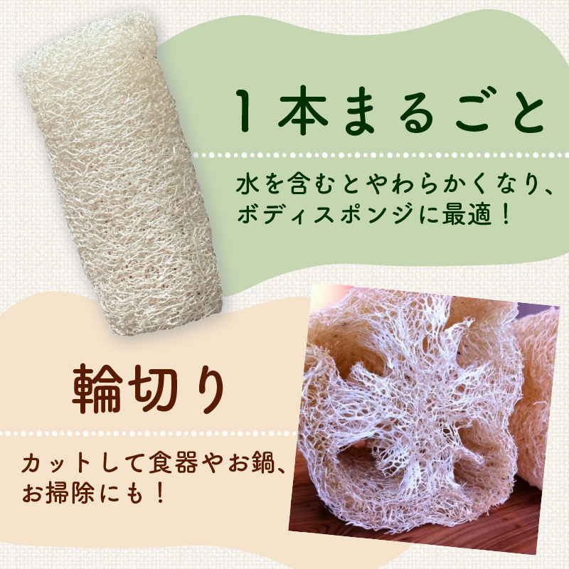 ヘチマたわし Lサイズ