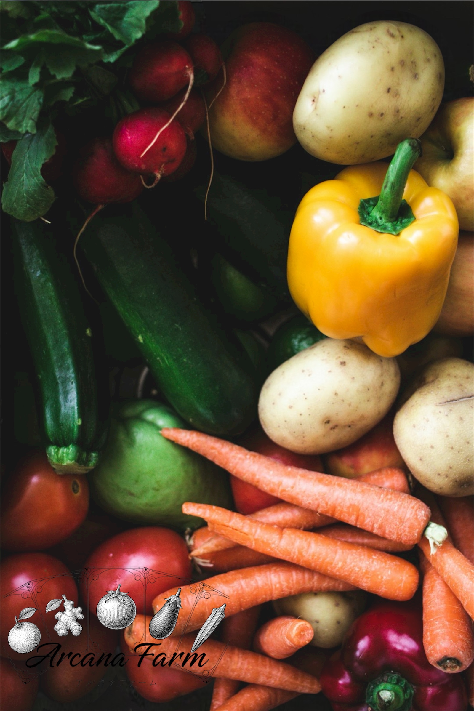 【6回定期便】こだわりの新鮮野菜セット 8~11品目 | 野菜セット 新鮮 野菜 人気 季節の野菜 おすすめ 高知県 南国市