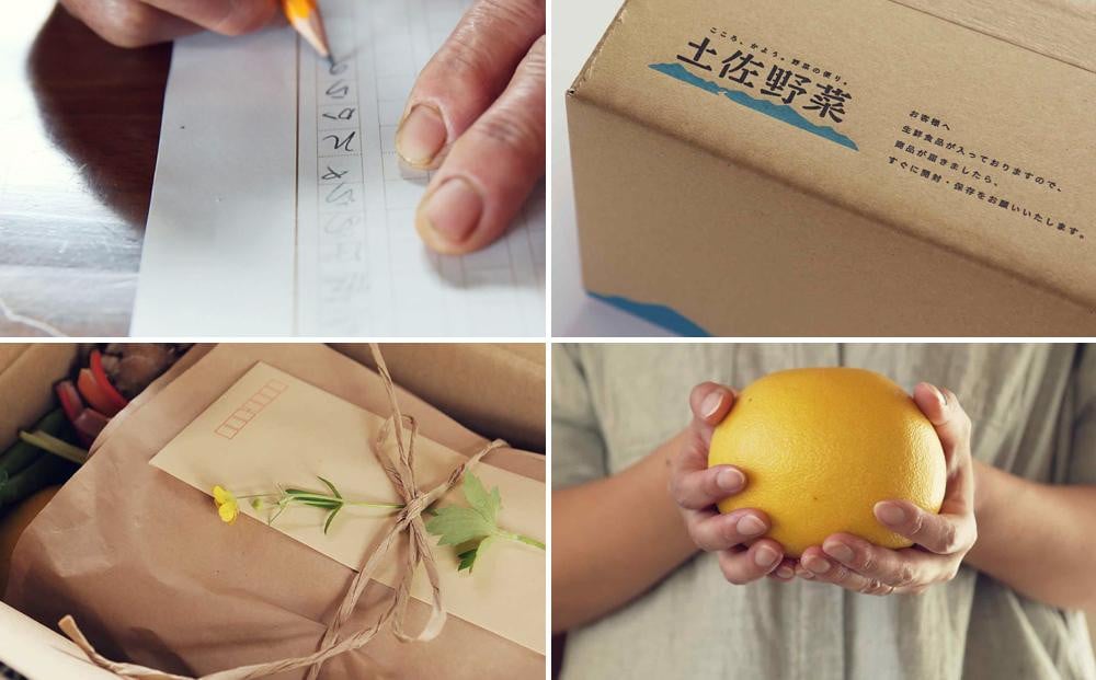 『定期便 全3回』無農薬生姜100gと旬の野菜の詰め合わせ【土佐野菜】【セット 新鮮 野菜 毎月  人気 おすすめ 高知県 南国市】