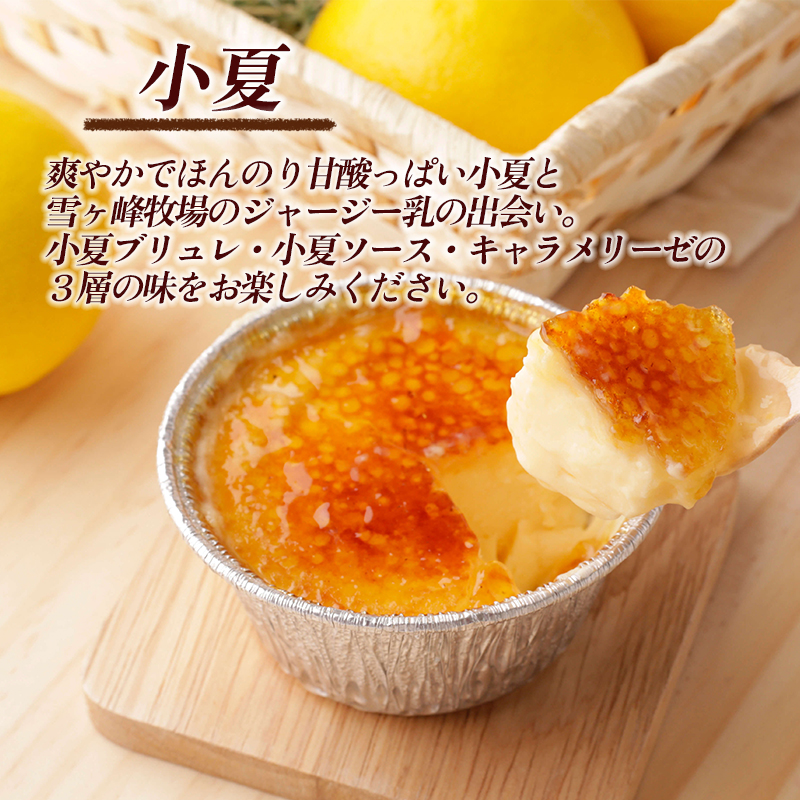 アイスブリュレ４種セット (ジャージー乳、小夏、木いちご、濃厚キャラメル 各種1個) クレーム ブリュレ キャラメル プリン クレームブリュレ おやつ お菓子 スイーツ スウィーツ 贈答 贈り物 ギフト プレゼント 送料無料 人気 おすすめ 高知県 南国市