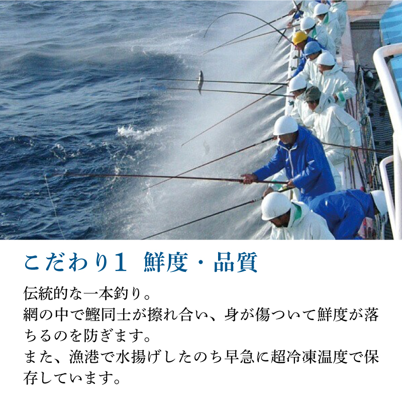 土佐料理司 鰹たたき1節セット