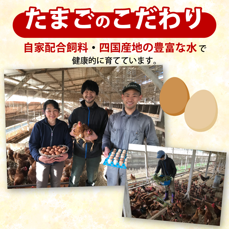 土佐ジローの卵と平飼い卵 セット 各5個(10個×1パック) 合計10個 | たまごのおくだ 新鮮 土佐ジロー 平飼い 卵 たまご 10個 鶏卵 卵黄 エッグ たまごかけ ご飯 玉子 タマゴ 玉子焼き たまご焼き すき焼き 鶏 ケーキ セット 2種 食べ比べ 産地直送 国産 ふるさと納税 高知県 南国市