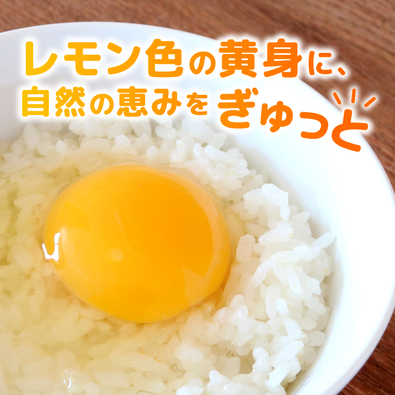 【定期便12回】 平飼い卵 60個入り たまご 卵 タマゴ 鶏卵