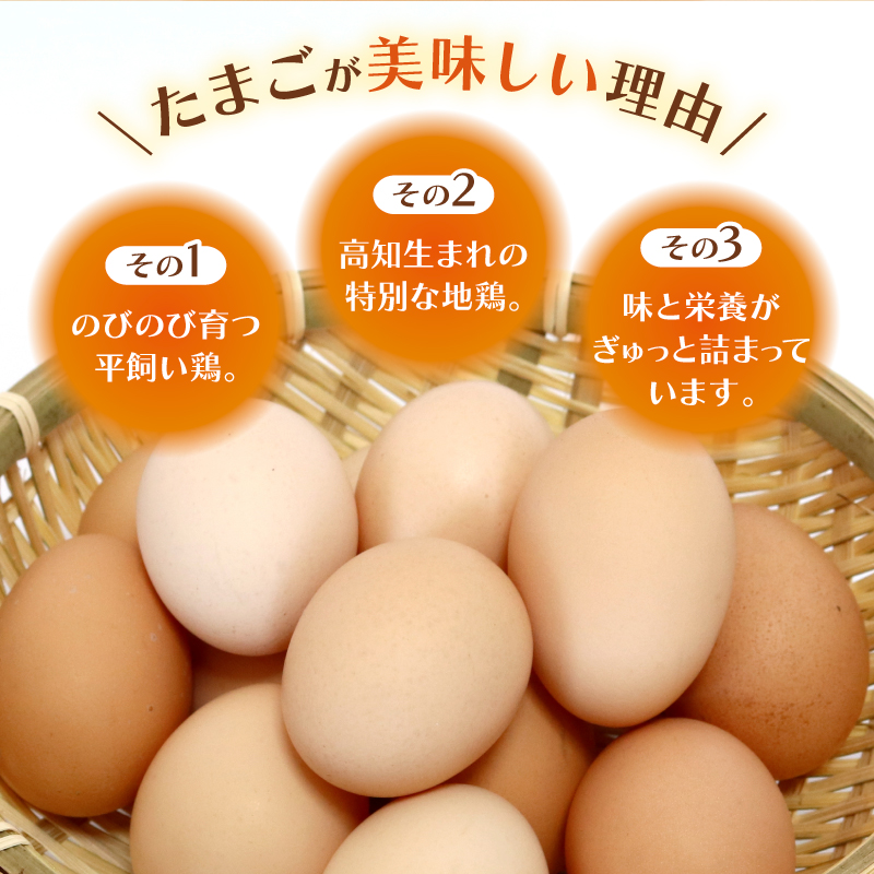 【3回定期便】土佐ジローの卵 20個入り (10個×2パック)【たまご 卵 タマゴ 鶏卵 たまごかけごはん TKG オムレツ ケーキ 卵かけご飯 たまご焼き おいしい おすすめ 高知県 南国市】