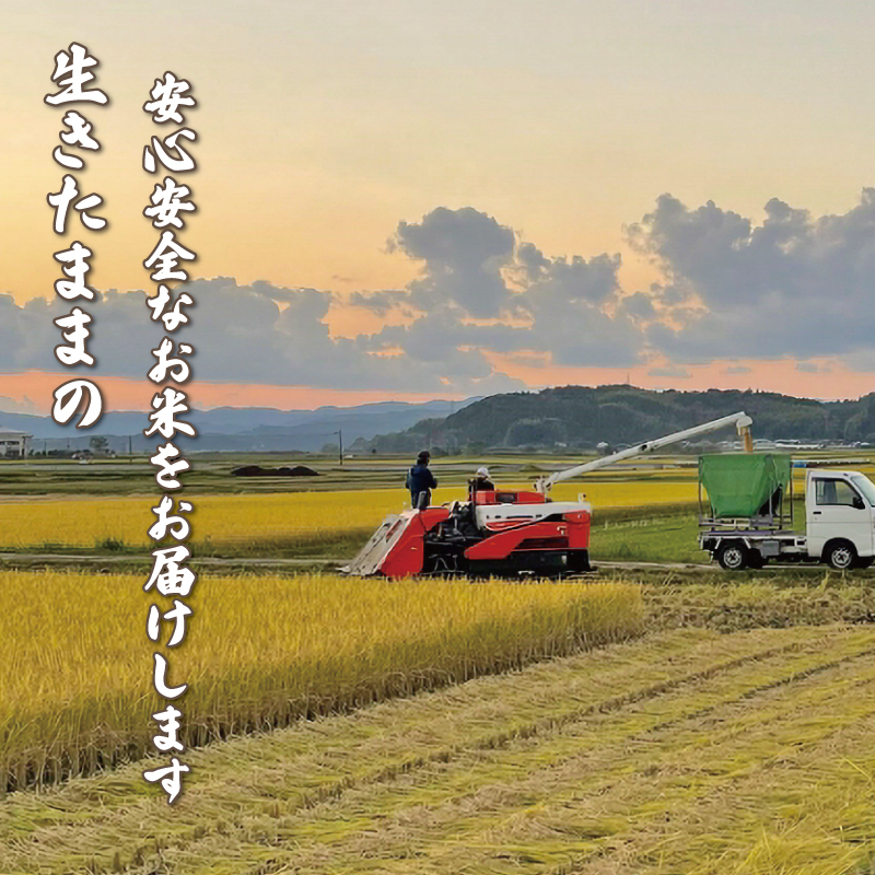 【お米定期便】 【3回】 令和7年度 ミルキークイーン 数量限定 各5キロ 米 コメ 減農薬栽培 お米 精米 早場米 新米 ご飯 おにぎり こめ 白米 低化学肥料 高知県 南国市