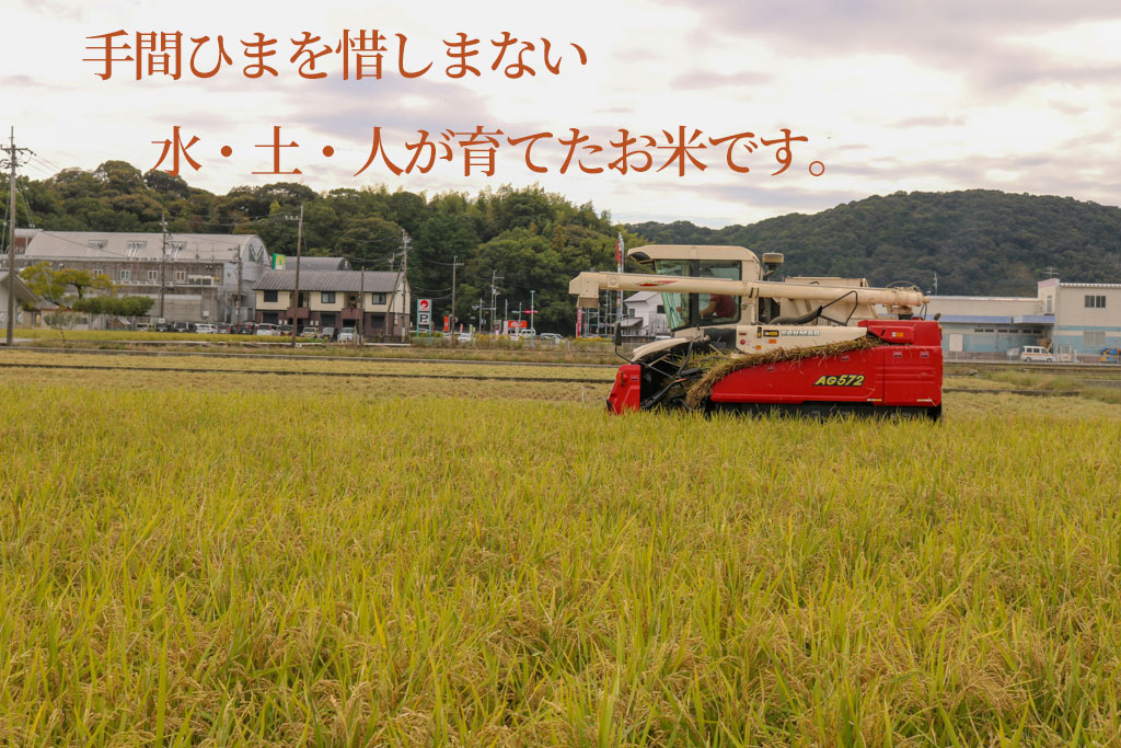 【お米定期便】 【12回】 令和7年度 玄米 コシヒカリ 数量限定 各10キロ 米 コメ お米 ご飯 おにぎり こめ 高知県 南国市