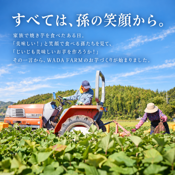 【 冬季 限定 】 【 先行予約 】 【 訳あり 】 高知県産 土付き 熟成紅はるか 極蜜芋 5kg ｜ 紅はるか さつまいも 生芋 熟成芋 高知 焼き芋 やきいも おやつ 農家直送 産地直送 WADA FARM 高知県 南国市