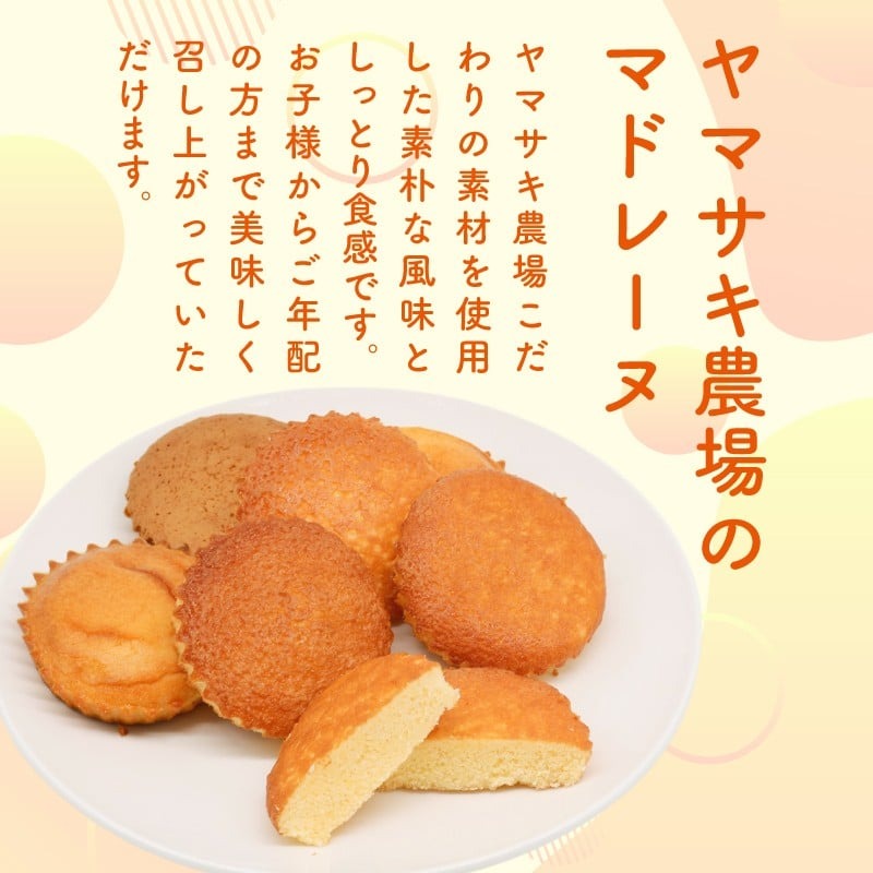 マドレーヌ しっとりチョコレート 5個入 | チョコ チョコレート 焼き菓子 お菓子 おかし 家庭用 ギフト 包装 スイーツ 人気 おすすめ たまご 卵 高知県 南国市