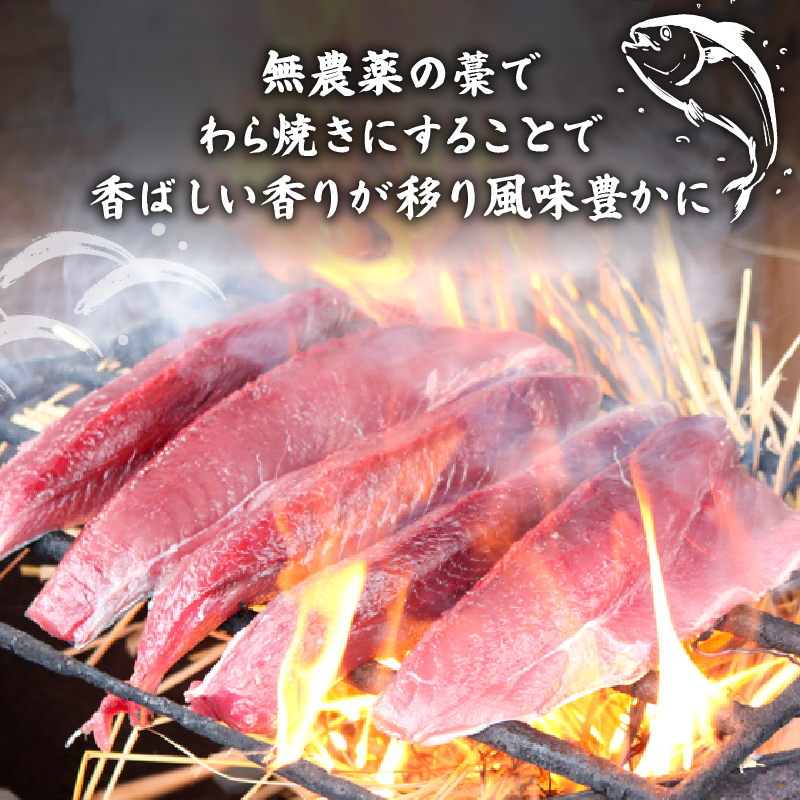 冷凍もちもち食感極みかつお藁焼きたたき250g×4節【鰹 たたき かつおのたたたき わら焼き 藁焼き 魚 魚介 食品  人気 おすすめ 高知県 南国市】
