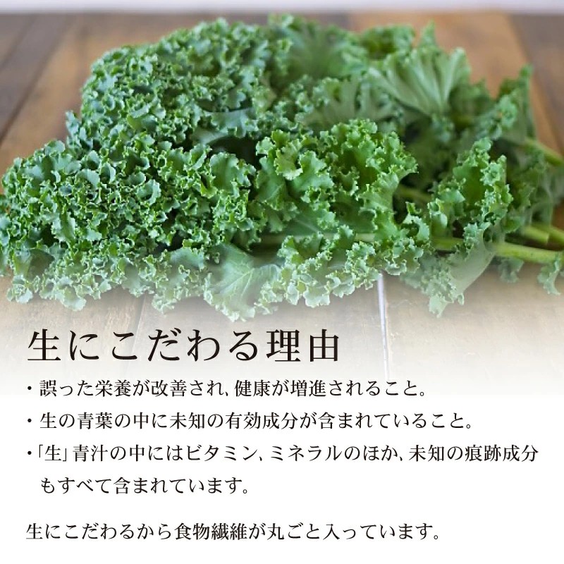 遠藤青汁 【生】 冷凍 2箱 5.6kg( 100g × 56袋 )