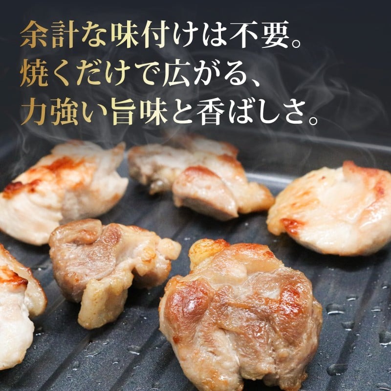 ごめんケンカシャモ焼肉セット 8人前 焼肉 焼肉セット 焼き肉 ギフト 冷凍 しゃも シャモ 軍鶏 国産鶏肉 チキン とりにく 鶏肉 国産鶏 おすすめ 高知県 南国市