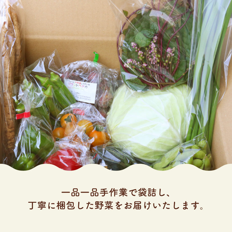 【野菜定期便全4回お届けコース】高知県産 南国土佐の季節野菜と卵（ゆずたま）の詰め合わせセット【新鮮野菜セット卵付き】【セット 詰め合わせ 旬 たまご 卵 柚子 人気 高知県 南国市】