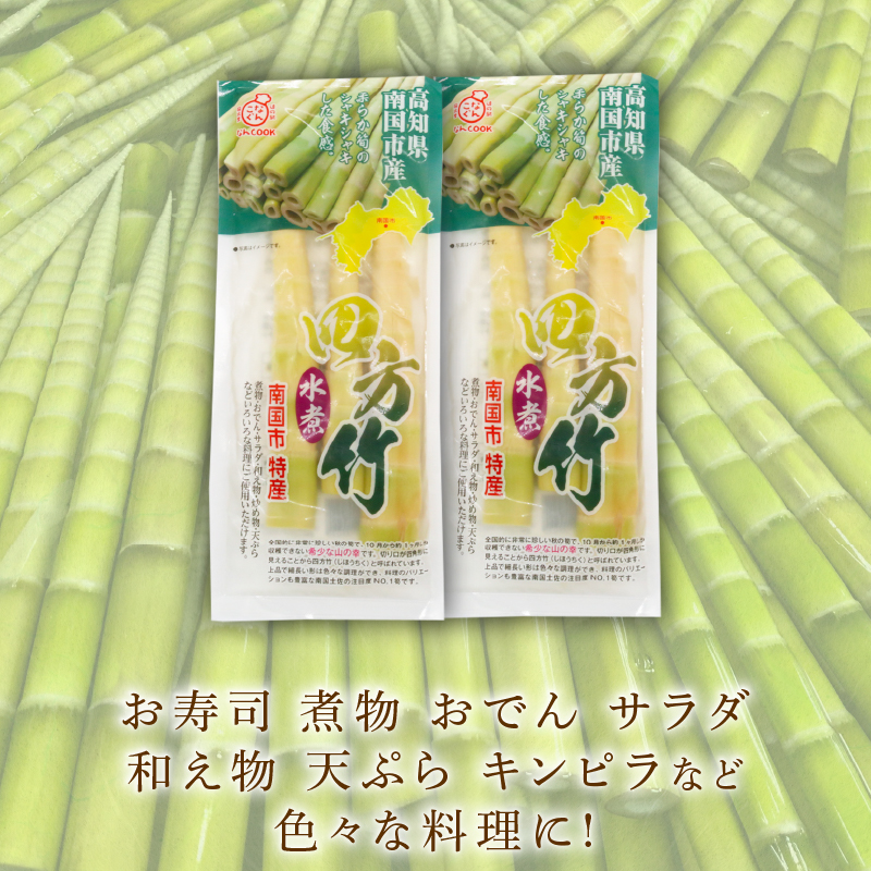 四方竹 水煮 100g×2パック シャキシャキ 食感 珍味 季節 特産 珍しい 柔らか 筍 タケノコ 竹の子 煮物 おでん サラダ 和え物 天ぷら キンピラ お寿司 高知県 南国市