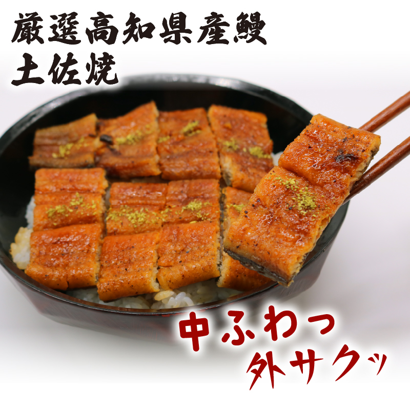 【12回定期便】 うなぎ蒲焼 約170g×3尾 高知県産 最高品質 合計約510g たれ 山椒 国産 鰻 かば焼 土佐焼 うな丼 うな重 高知県 南国市