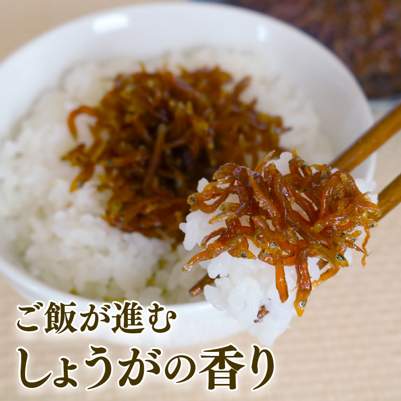 【定期便3回】土佐しらす佃煮 200g 小分け 冷凍配送 国産 おかず 惣菜 ご飯のお供 お米 に合う 加工品 海鮮 ちりめんじゃこ おつまみ 高知県 南国市