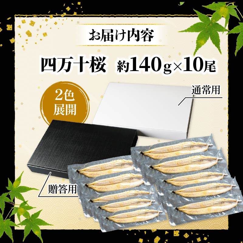 【通常用】極上国産うなぎ四万十桜　白焼き約140g×10尾 | うなぎ 鰻 蒲焼き 国産 四万十鰻 白焼き 調理済み タレ付き 家庭用 高級 お取り寄せ グルメ 食べ比べ 冷凍