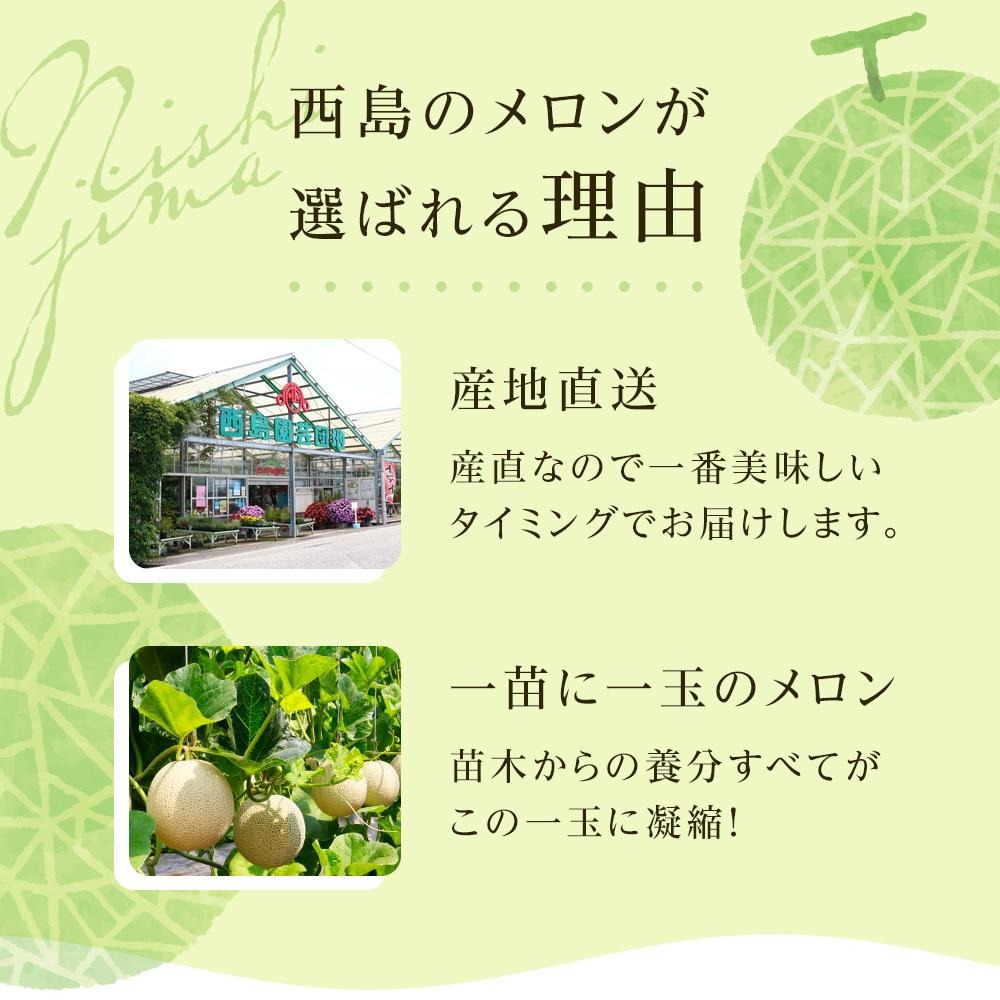 家庭用 メロン 1玉 | マスクメロン 1個 フルーツ 果物 厳選 高級 青肉メロン 人気 デザート ギフト プレゼント 贈り物 くだもの 旬 お取り寄せ 訳アリメロン 甘い 青肉 メロン 高糖度メロン 訳あり 産地直送メロン 訳ありメロン 1万円 10000 万円 高知県 南国市