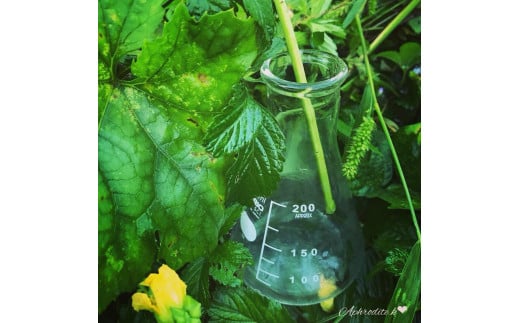 天然原料100％の天海のしずくオーガニック 化粧水 120ml×2本