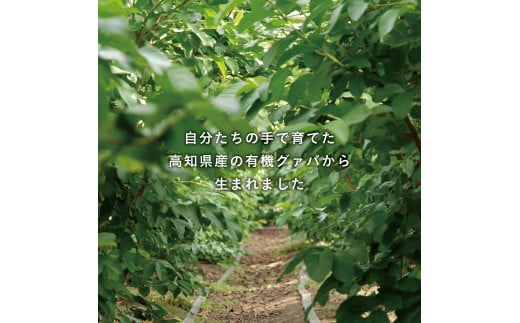 天然原料100％の天海のしずくオーガニックコスメ 2点セット