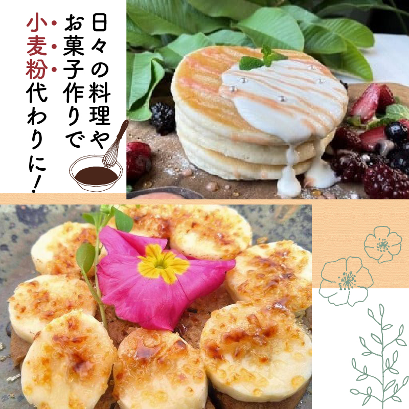 有機グアバ農園のもっちもち玄米パンケーキのもと 500g×2袋