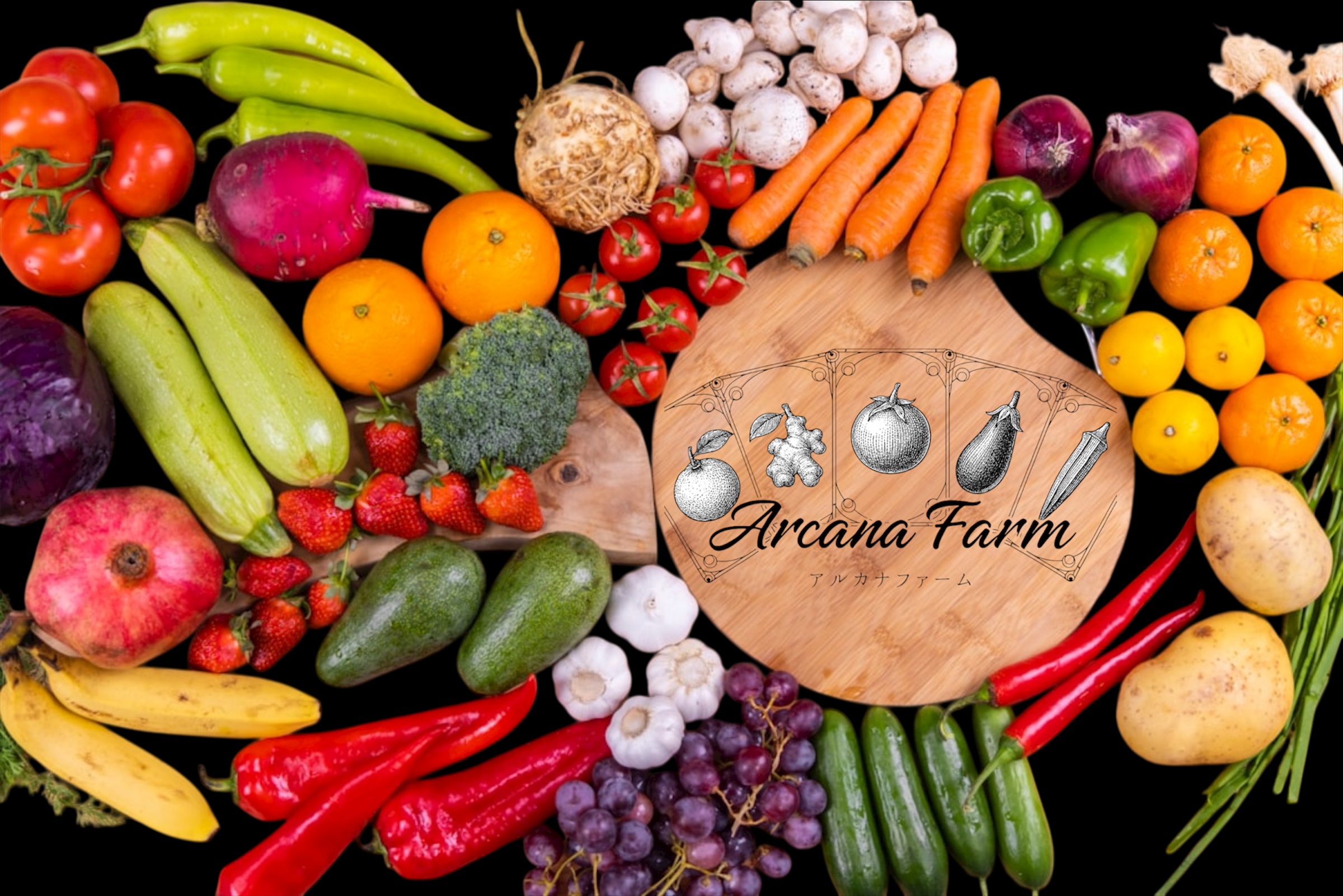 【3回定期便】こだわりの新鮮野菜セット 8~11品目 | 野菜セット 新鮮 野菜 人気 季節の野菜 おすすめ 高知県 南国市