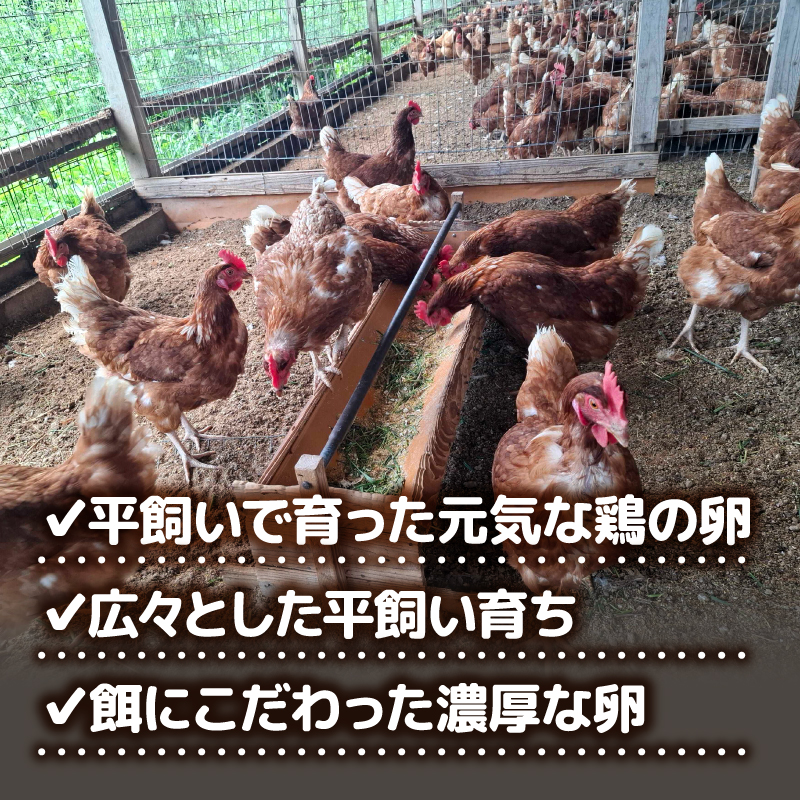 【3回定期便】土佐ジローの卵 20個入り (10個×2パック)【たまご 卵 タマゴ 鶏卵 たまごかけごはん TKG オムレツ ケーキ 卵かけご飯 たまご焼き おいしい おすすめ 高知県 南国市】
