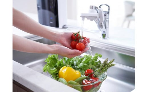  電解水素水整水器トリムイオンリファイン【（TRIM ION Refine）家電 水素水 健康 美容家電 日用品 人気 おすすめ 】