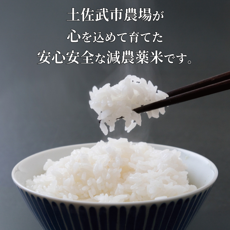【お米定期便】 【12回】 令和7年度 コシヒカリ 数量限定 各10キロ 米 コメ 減農薬栽培 お米 精米 早場米 新米 ご飯 おにぎり こめ 白米 低化学肥料 高知県 南国市