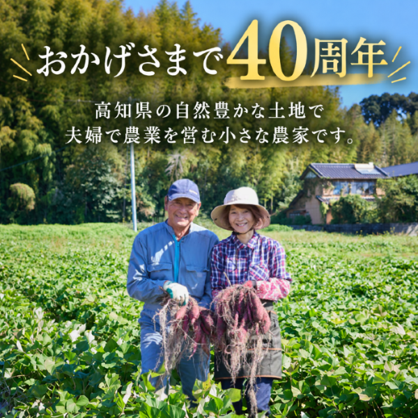 【 冬季 限定 】 【 先行予約 】 【 訳あり 】 高知県産 土付き 熟成紅はるか 極蜜芋 5kg ｜ 紅はるか さつまいも 生芋 熟成芋 高知 焼き芋 やきいも おやつ 農家直送 産地直送 WADA FARM 高知県 南国市