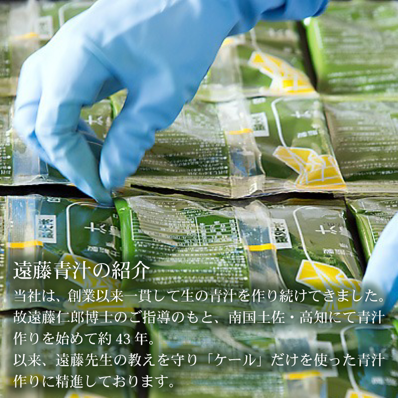 遠藤青汁 【生】 冷凍 2箱 5.6kg( 100g × 56袋 )