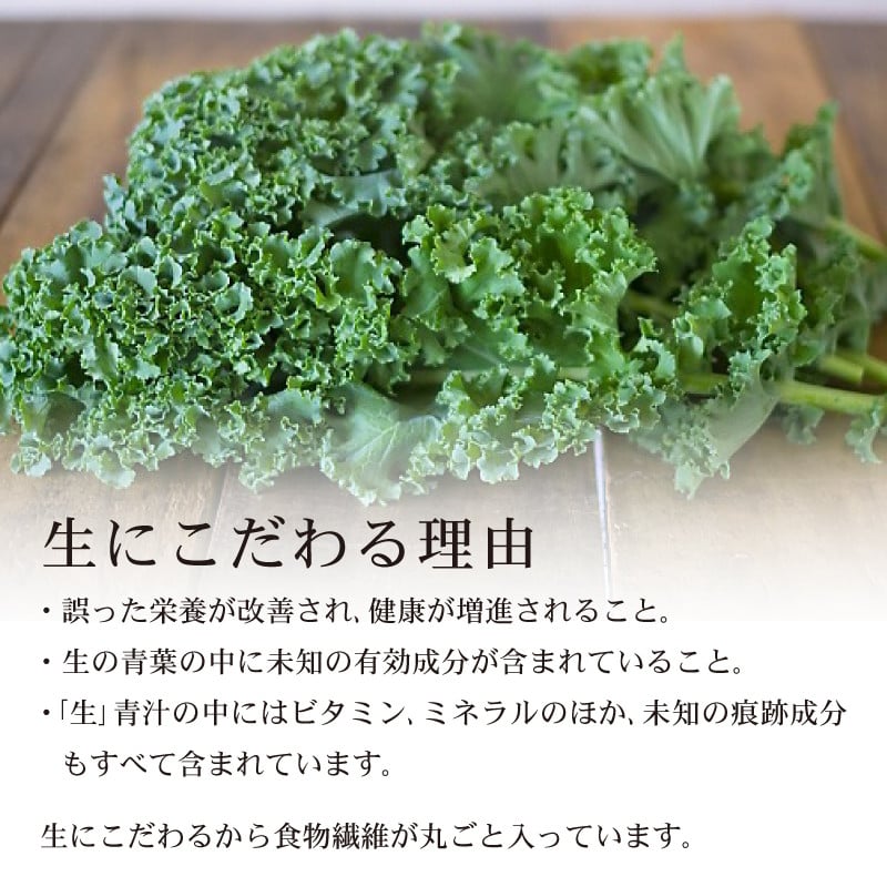 遠藤青汁 1箱 と豆乳青汁 3箱 【生】 冷凍