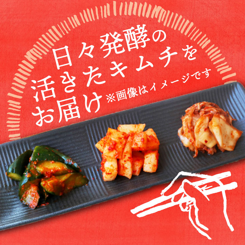 【土佐キムチ 白菜】 白菜キムチ 300g×3パック 無添加 自然派 キムチ 漬物 発酵 白菜 キムチ 手作り てづくり 韓国 高知県 南国市