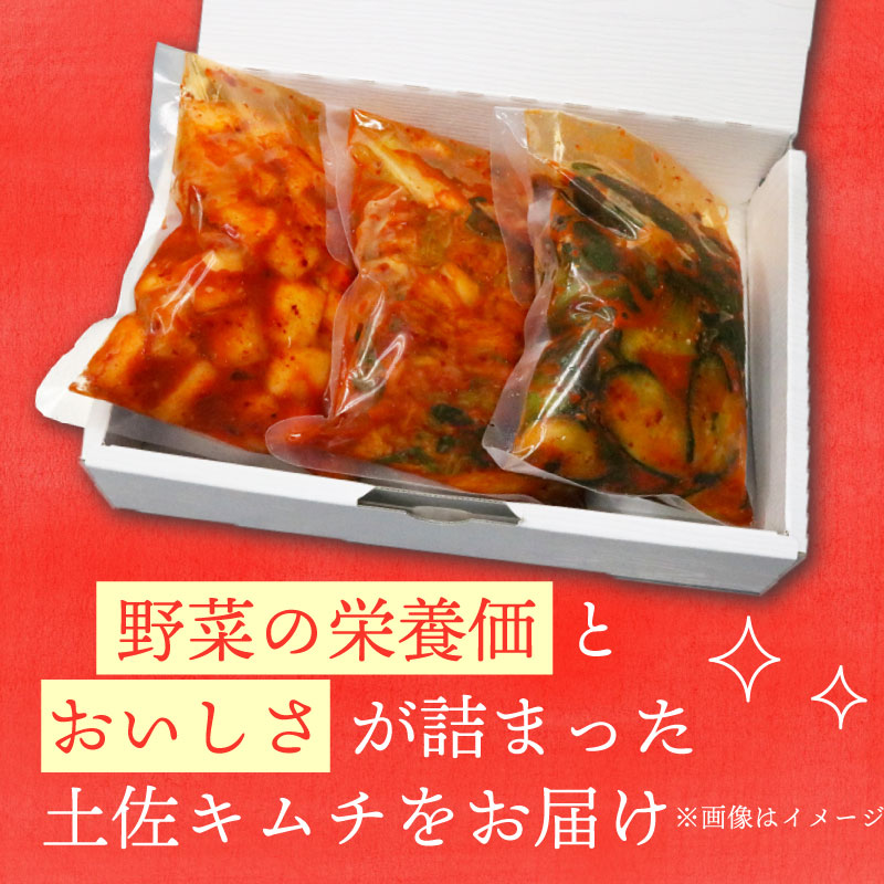 【土佐キムチ キャベツ】 キャベツキムチ 300g×3パック 無添加 自然派 パリパリ キムチ 漬物 発酵 白菜 キムチ 手作り てづくり 韓国 高知県 南国市