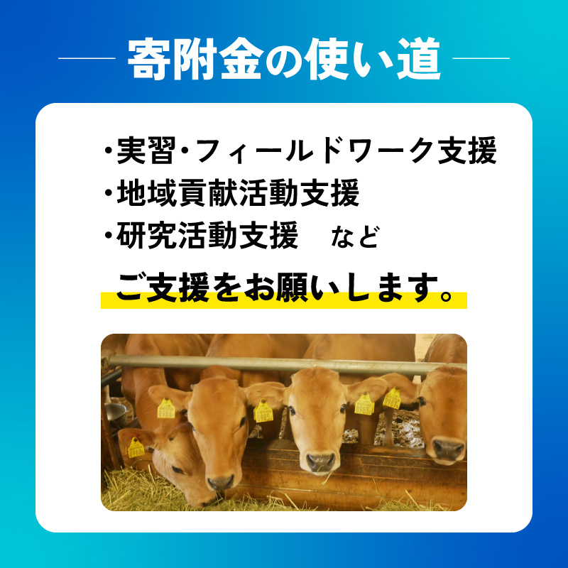 【返礼品なし/1,000,000円】 高知大学 農林海洋科学部 支援事業(教育・研究・地域貢献を支える寄附) | 実習・フィールドワーク支援 研究支援 地域貢献活動支援 人材育成 高知県 南国市 高知大