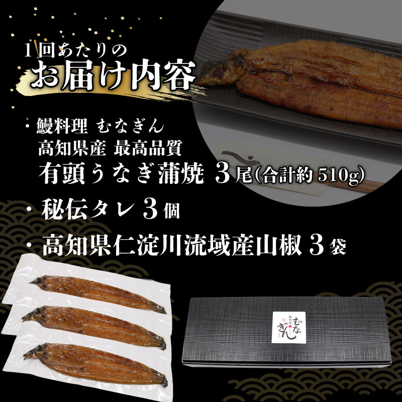 【12回定期便】 うなぎ蒲焼 約170g×3尾 高知県産 最高品質 合計約510g たれ 山椒 国産 鰻 かば焼 土佐焼 うな丼 うな重 高知県 南国市